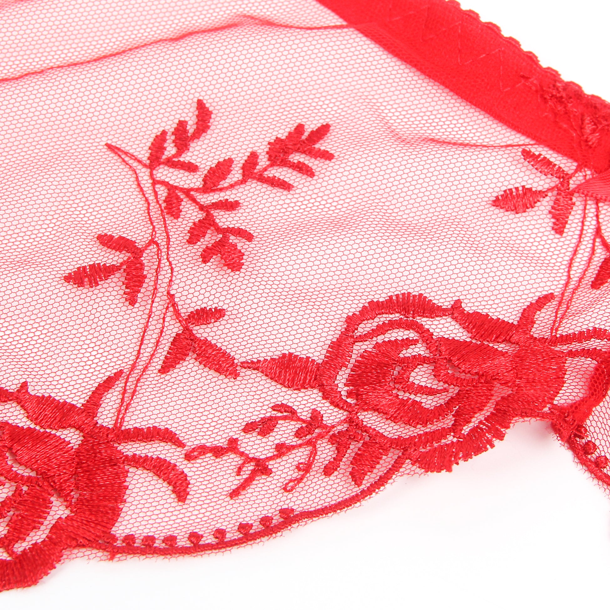 Red Intimate Embroidery Lace Garter Panty