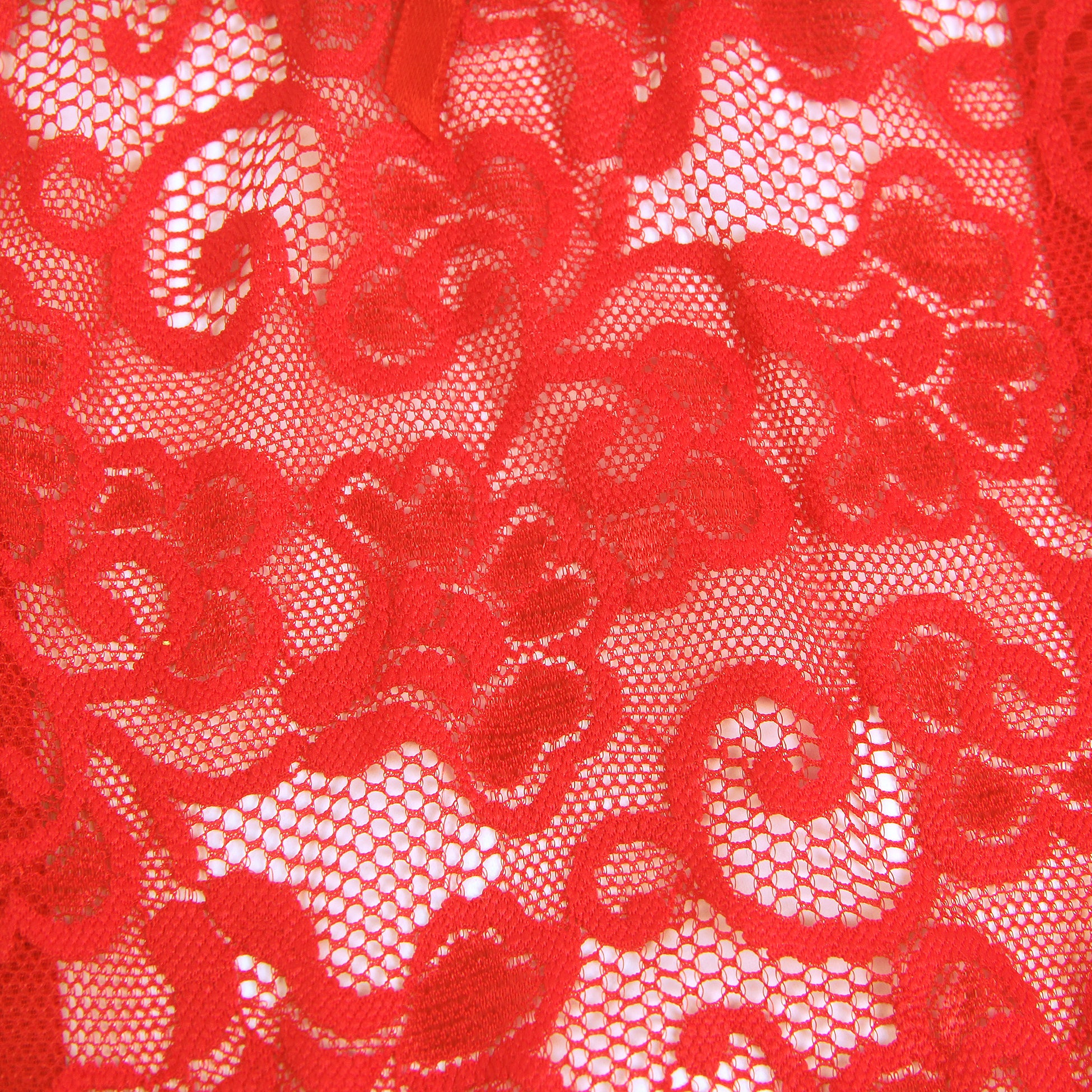 Red Intimate Lace Garter Belt With Metal Buckles